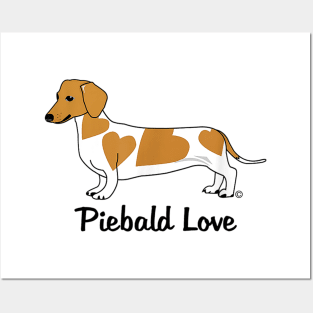 Piebald Love Dachshund Posters and Art